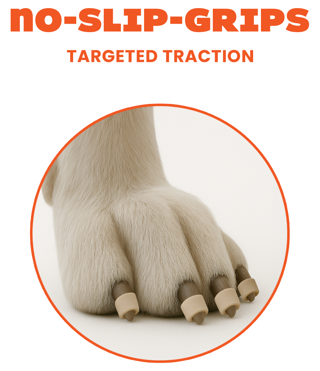 Dog paw with no-slip grips and text 'No-Slip-Grips Targeted Traction' on a white background