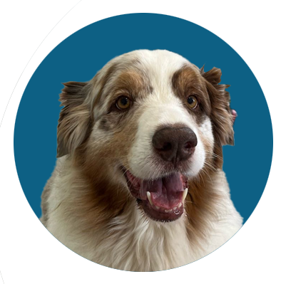 Dog with a blue circular background